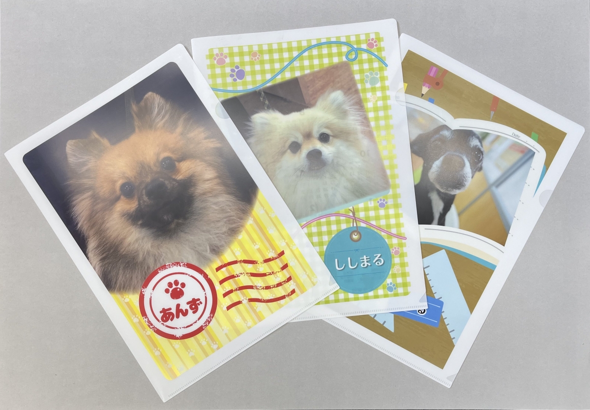 動物病院・トリミングサロンのノベルティにおすすめ｜オリジナルクリアファイル！